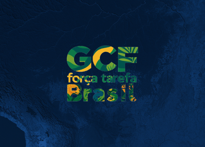 O Despertar dos Guardiões da Floresta