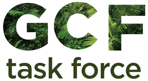 GCF task force